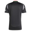 Arsenal Fodboldtrøje Udebane 2024-25